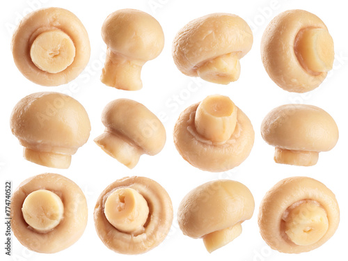 Marinated champignons isolated on white background. Collection with clipping path.