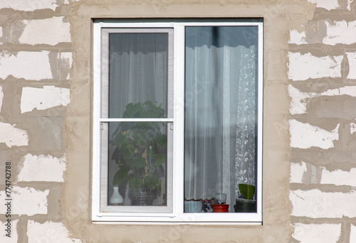 White plastic window on the wall of a house with a green plant