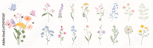 Collection of floral and botanical elements. Set of leaf, foliage wildflowers, plants, bloom, leaves and herb. Hand drawn of blossom spring season vectors for decor, website, wedding card and shop.