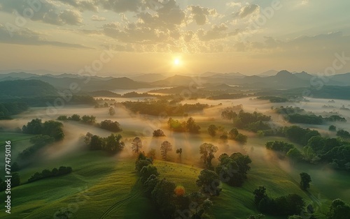 A beautiful sunrise over a field of trees. The sky is filled with clouds and the sun is just beginning to rise. The misty atmosphere adds to the serene and peaceful mood of the scene