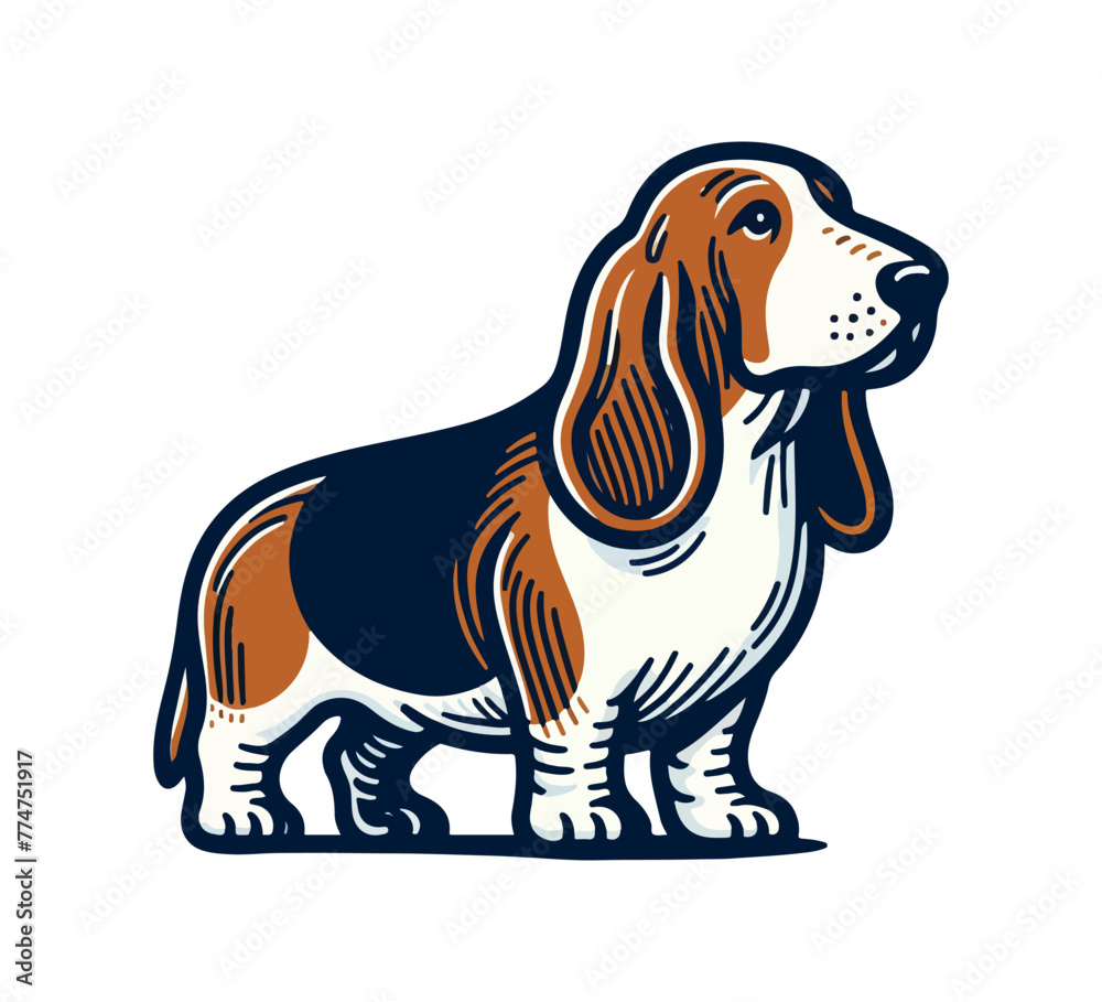 basset hound dog hand drawn vector illustration