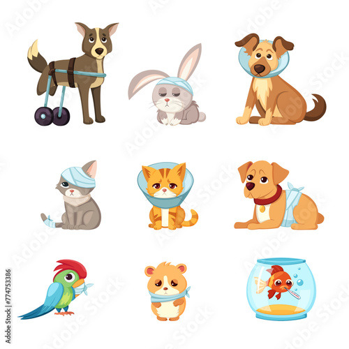 veterinary sick animals. cartoon cute animal characters collection, veterinarian treatment handicapped rehabilitation animals. vector cartoon characters set. © alex_cardo