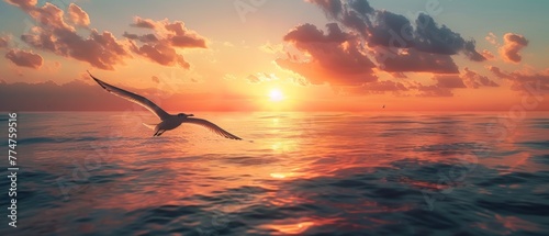 The sunset is an amazing sight as a seabird flies into it © Zaleman
