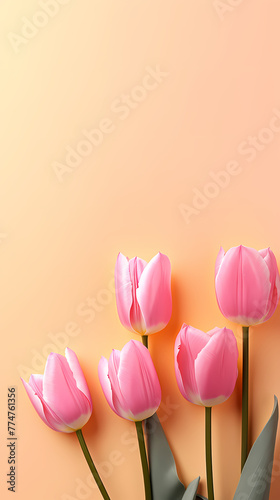 Tulip flowers and place for text