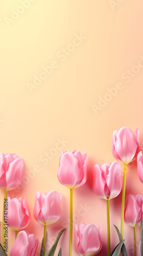 Tulip flowers and place for text