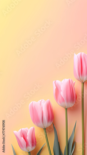 Tulip flowers and place for text