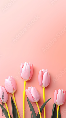 Tulip flowers and place for text