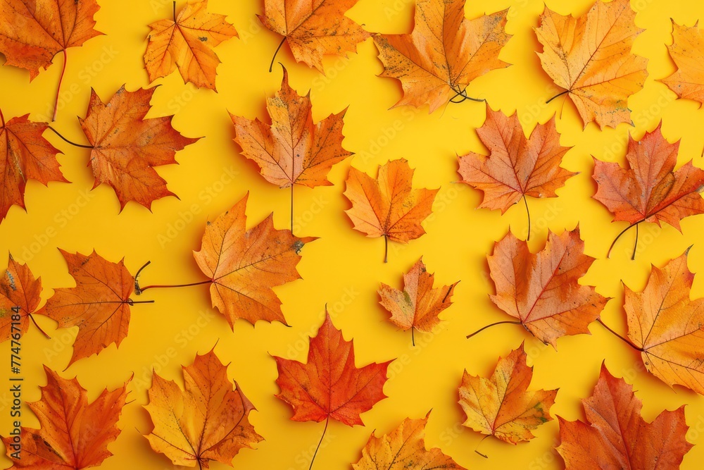 Dry brown maple leaves on yellow backgroun Dry brown maple leaves on yellow backgroun