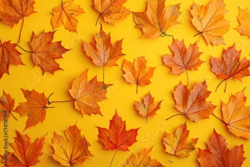 Dry brown maple leaves on yellow backgroun