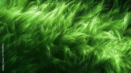 green fluffy fur