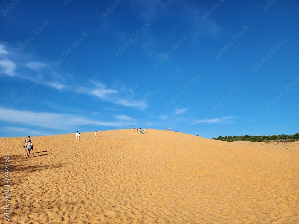 person walking on sand dune