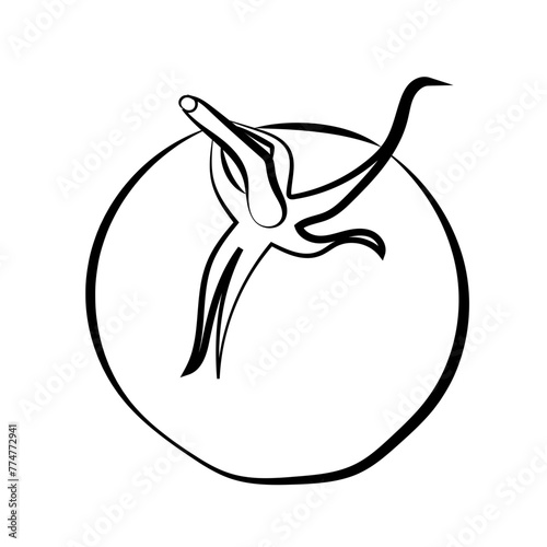 Tomate