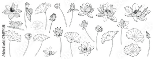 Lotus Vector element. lotus line arts design for packaging template, pattern design element, vintage background, luxury logo, beauty and cosmetic wallpaper vector illustration.