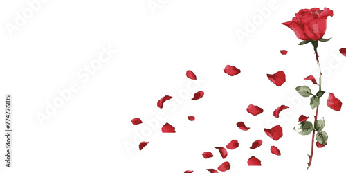Watercolor red rose petals falling on white background.