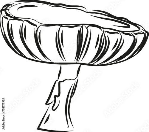Champignon
