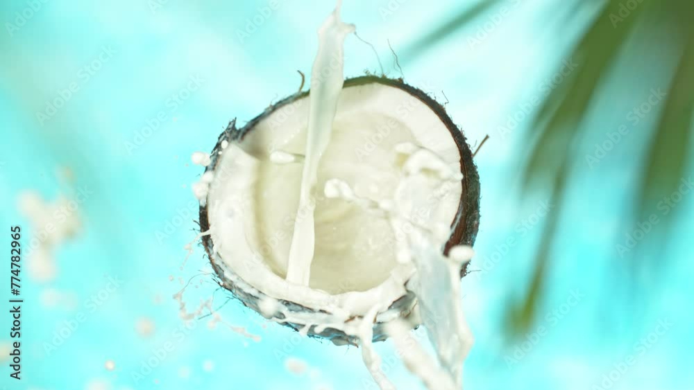 Super Slow Motion of Coconut With Milk Splash. Filmed on High Speed Cinema Camera, 1000 fps. Blur Palm Leaves on Foreground. Speed Ramp Effect.