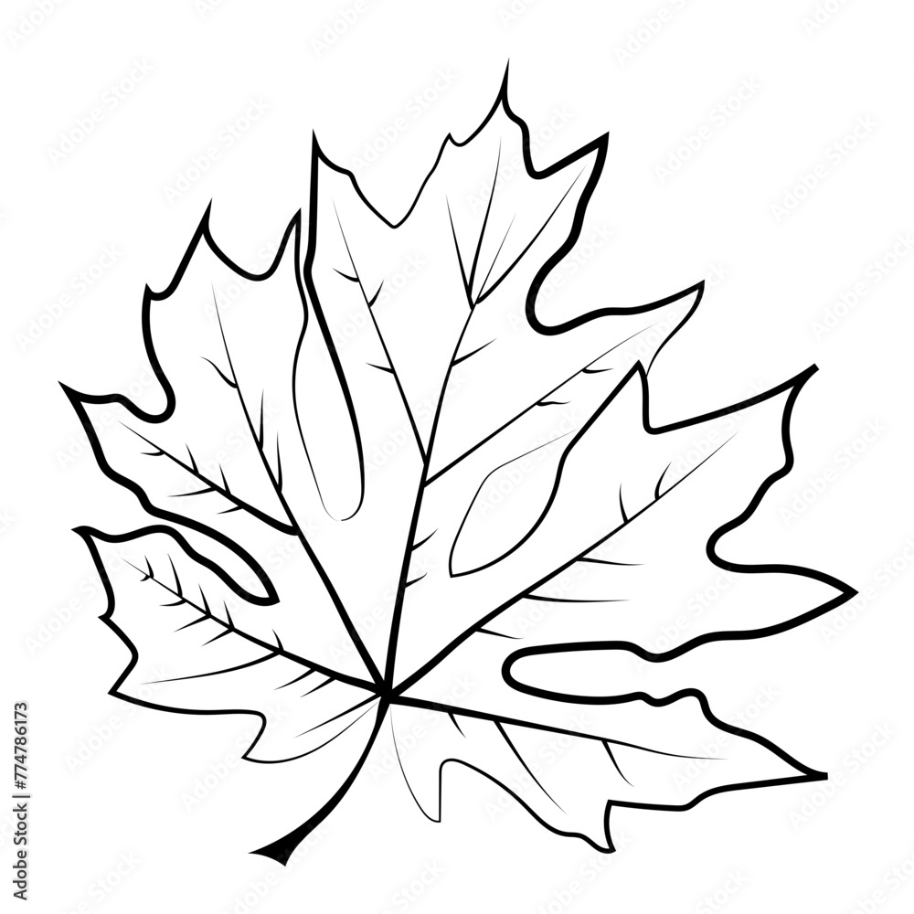 Feuille de chêne