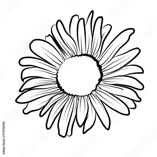 Tournesol