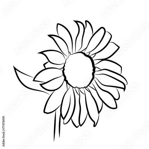 Fleur de tournesol