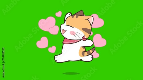 Cat cute animation on green screen