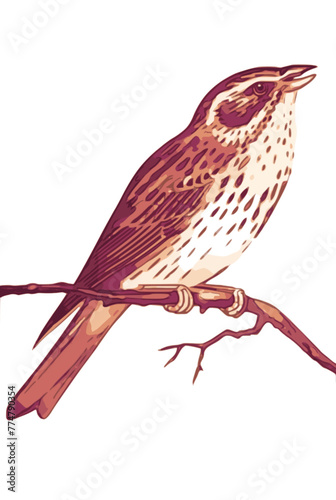 songbird on a branch vector
