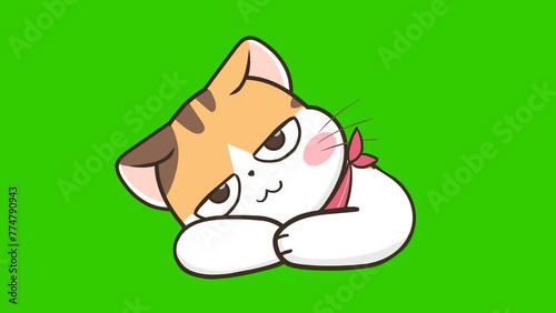 Waiting animation, cute cat on green screen
