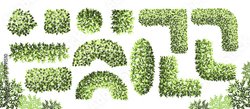 Maze garden for master plans. Top view for the architectural plan. Various trees, bushes, and shrubs. Vector illustration.