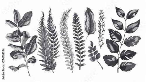 An assortment of foliage depicted in a botanical drawing, featuring ferns, eucalyptus, and boxwood, on a retro floral backdrop. 