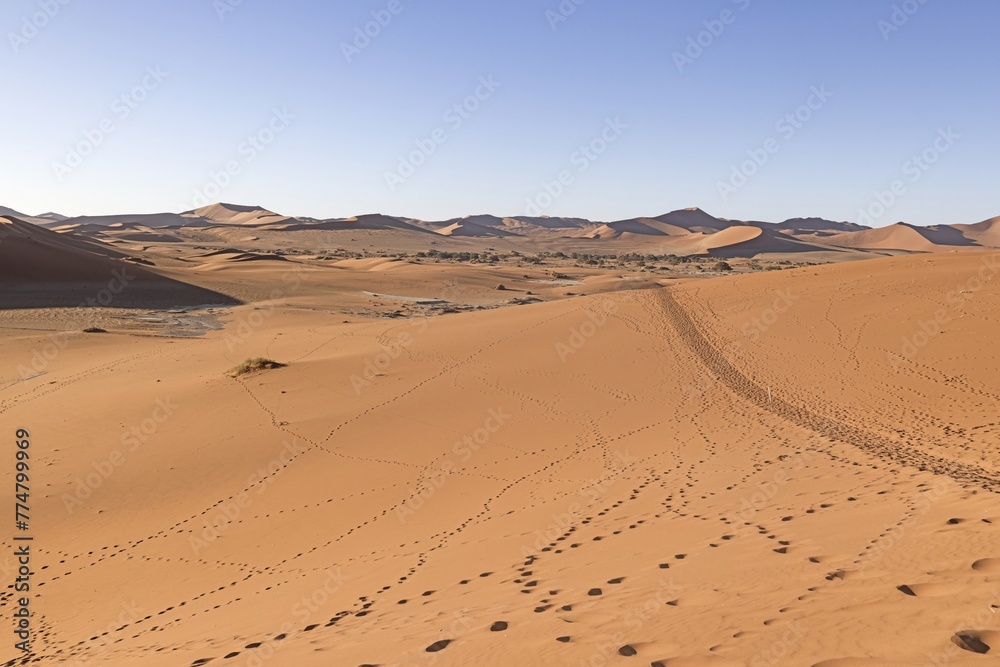 Panoramic picture of the red dunes of the Namib Desert with footprints in the sand against blue sky