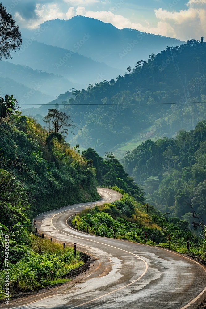 Winding Road Through Lush Green Forest