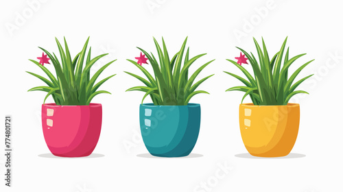 Colored simple home plant flower pot. Icon element obj
