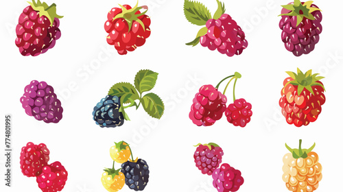 Colorful fruit. Raspberry icon. Vector illustration 