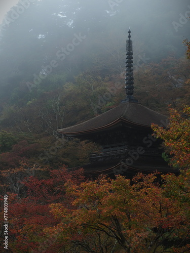 霧に包まれた三重塔