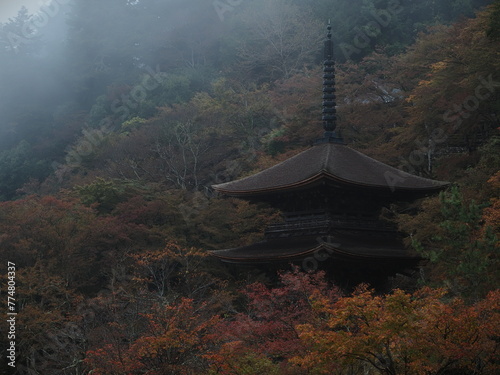 霧に包まれた三重塔