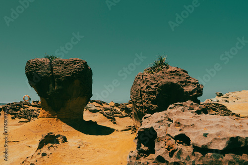 Shape of mushroom rocks in Yehliu Geopark a natural park in Taiwan during sunset. Rocky beach in the natural park near Taipei. Panorama of a desert natural park like soil on Mars photo