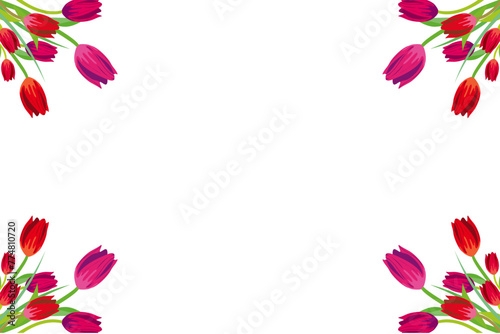 tulip cornered floral border frame background