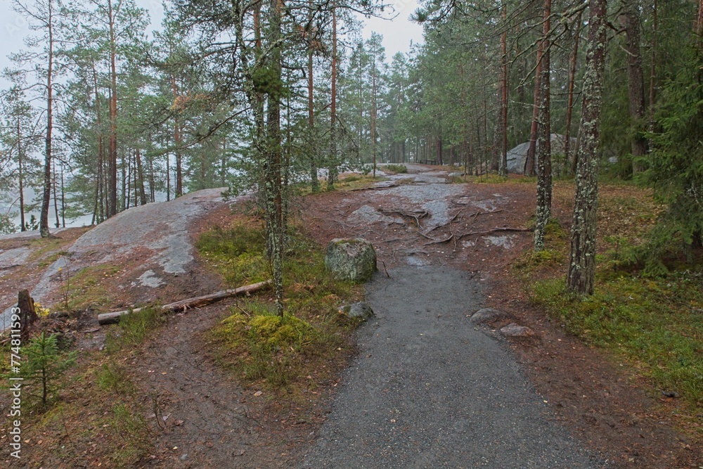 Fototapeta premium Autumn nature trail at Sarvikallio recreational area, Tuusula, Finland.