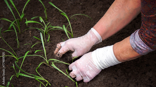 close-up of a woman planting a seedling in the soil.