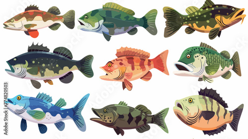 Bass fish collection flat vector isolated