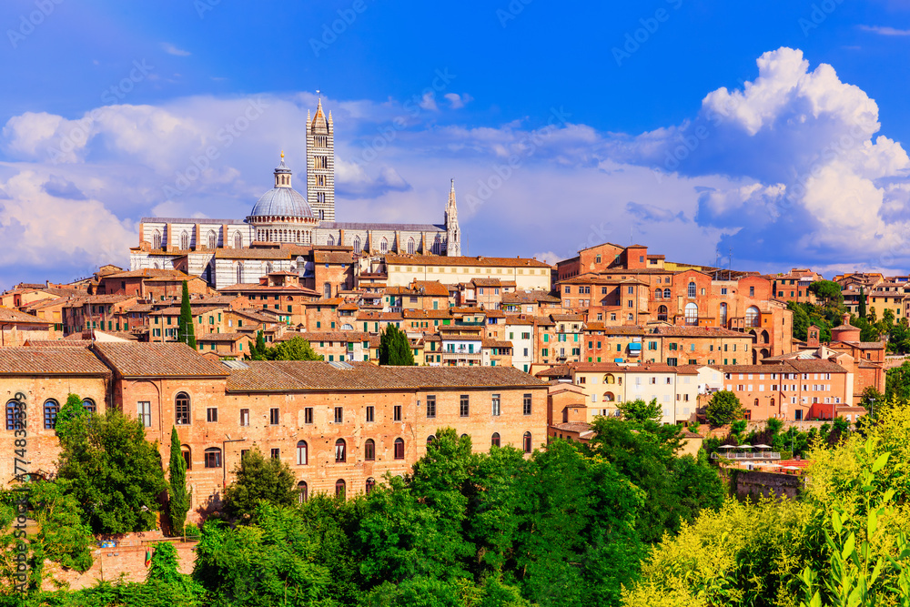 Obraz premium Siena, Italy. View of the of Siena Cathedral (Duomo di Siena).