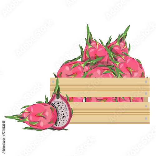 Dragon fruit composition in a wooden box on a white background.Vector illustration of fruit for supermarket designs.