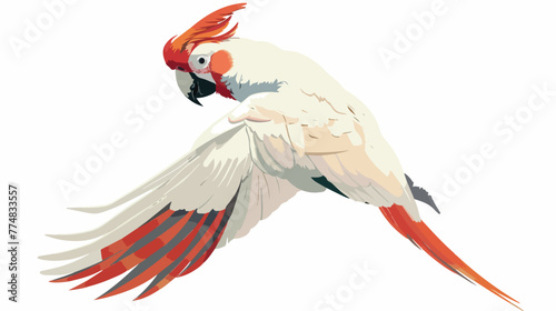 Palm Cockatoo on White Background flat vector © Aliha