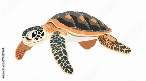 Sea turtle on white background flat vector isolated