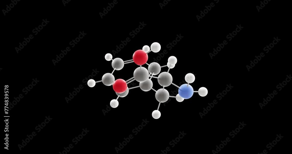 Phenylalanine molecule, rotating 3D model of alpha-amino acid, looped video on a black background Phenylalanine molecule, rotating 3D model of alpha-amino acid, looped video on a black background