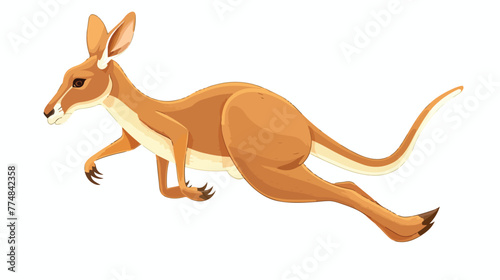 Cute little kangaroo jumping on white background