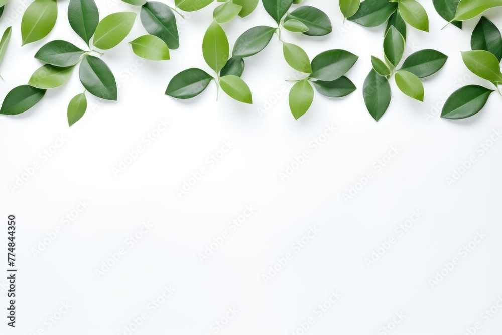 Natural green leaf border creating a fresh and serene frame on a clean white background with space for text. Fresh Green Leaves Border on White Background