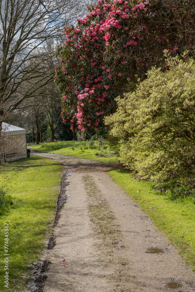 Sunny walk around Petworth House gardens, West Sussex, England, April 2024