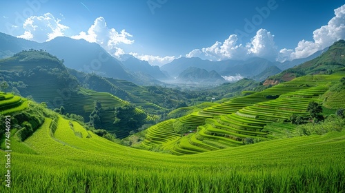 Majestic Mountains Overlooking Lush Green Terraced Fields