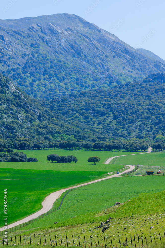 Llanos de Libar, Parque Natural Sierra de Grazalema, Montejaque, Andalusia, Spain, Europe