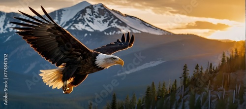 Majestic Bald Eagle in Flight - Mountain Wilderness - Sunset Freedom - Generative AI
